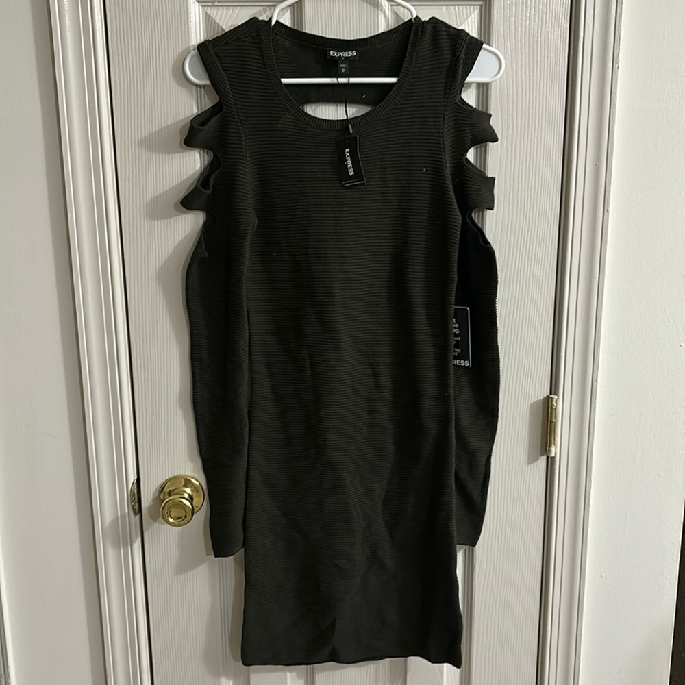 Express Olive green sweater dress